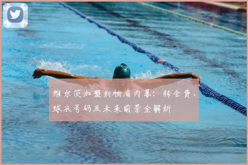 维尔茨加盟利物浦内幕：转会费、球衣号码及未来前景全解析